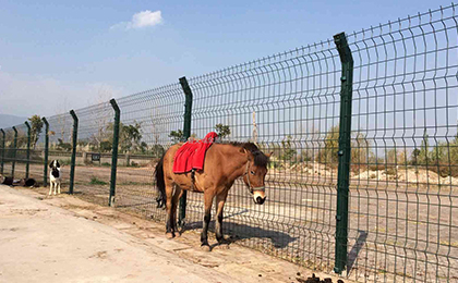 養(yǎng)殖場護(hù)欄網(wǎng) 養(yǎng)殖場護(hù)欄網(wǎng)