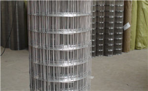 8278292632847573374.jpg 8278292632847573374.jpg